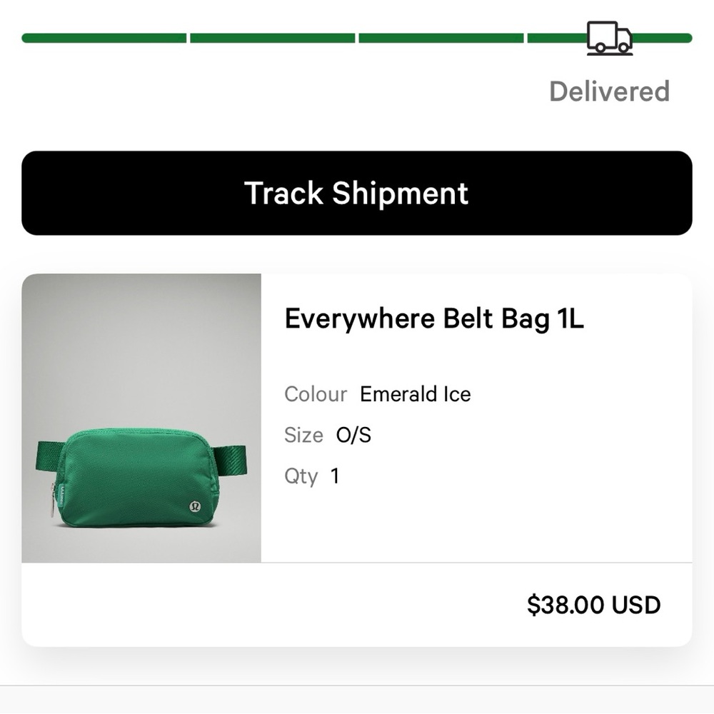Everywhere Belt Bag 1L